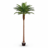 Artificial Luxury Phoenix Date Palm Tree - 300cm (10ft)
